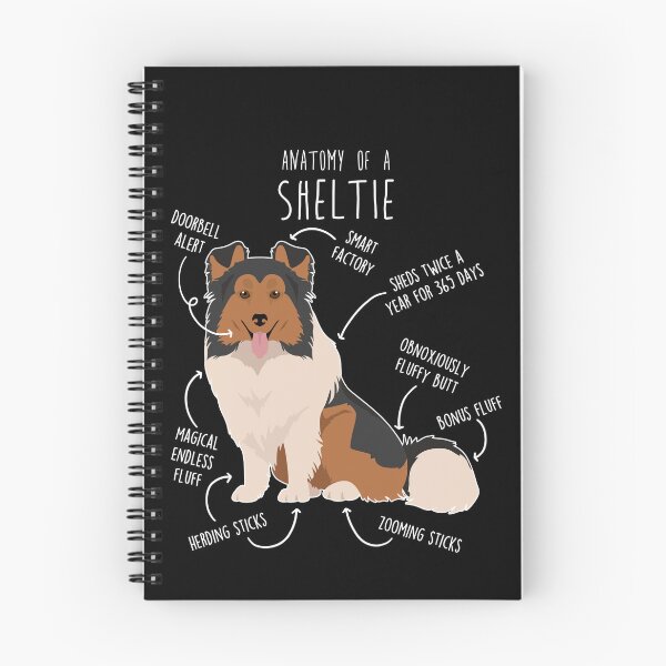 Item preview, Sheltie Shetland Sheepdog Anatomy designed and sold by Clara Hollins.