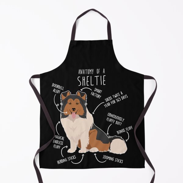 Item preview, Sheltie Shetland Sheepdog Anatomy designed and sold by Clara Hollins.