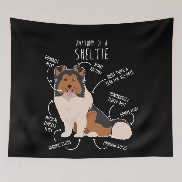 Item preview, Sheltie Shetland Sheepdog Anatomy designed and sold by Clara Hollins.