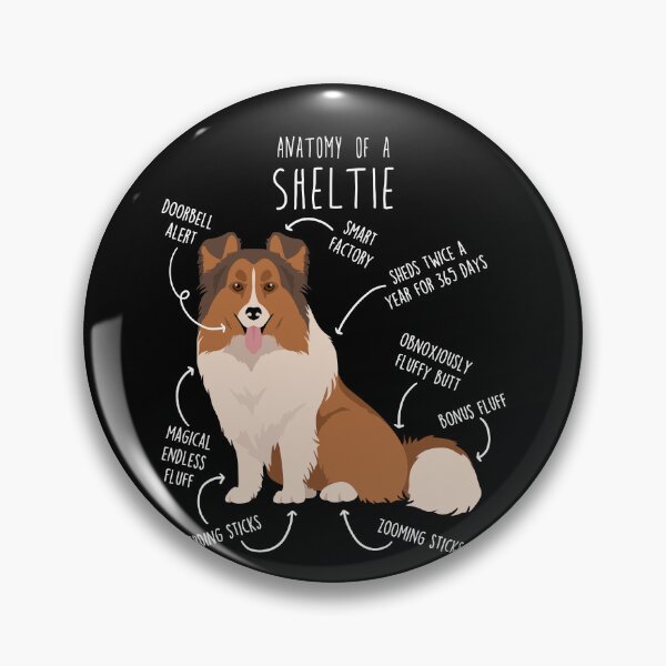 Item preview, Sheltie Shetland Sheepdog Anatomy designed and sold by Clara Hollins.