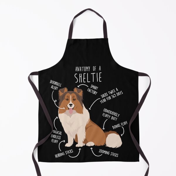 Item preview, Sheltie Shetland Sheepdog Anatomy designed and sold by Clara Hollins.