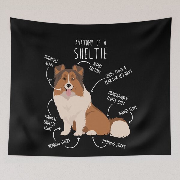 Item preview, Sheltie Shetland Sheepdog Anatomy designed and sold by Clara Hollins.