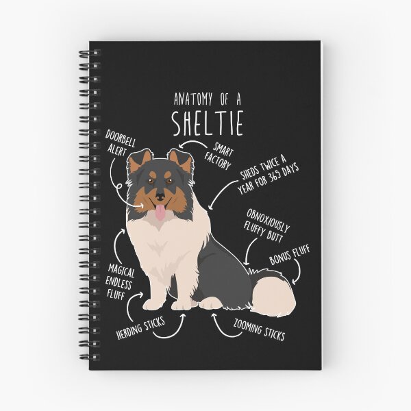 Item preview, Tri Color Sheltie Shetland Sheepdog Anatomy designed and sold by Clara Hollins.