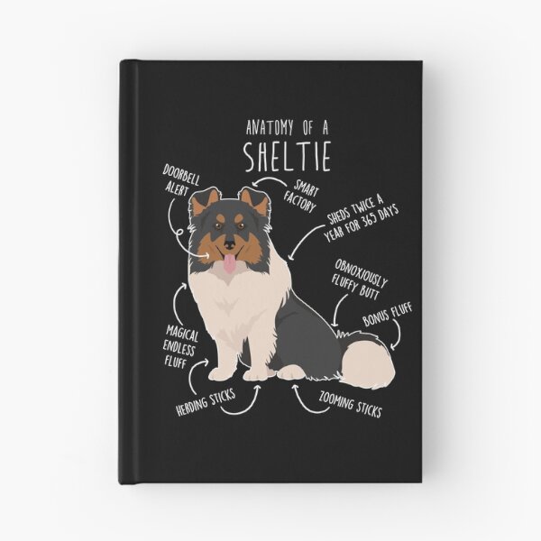 Item preview, Tri Color Sheltie Shetland Sheepdog Anatomy designed and sold by Clara Hollins.