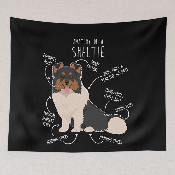 Item preview, Tri Color Sheltie Shetland Sheepdog Anatomy designed and sold by Clara Hollins.