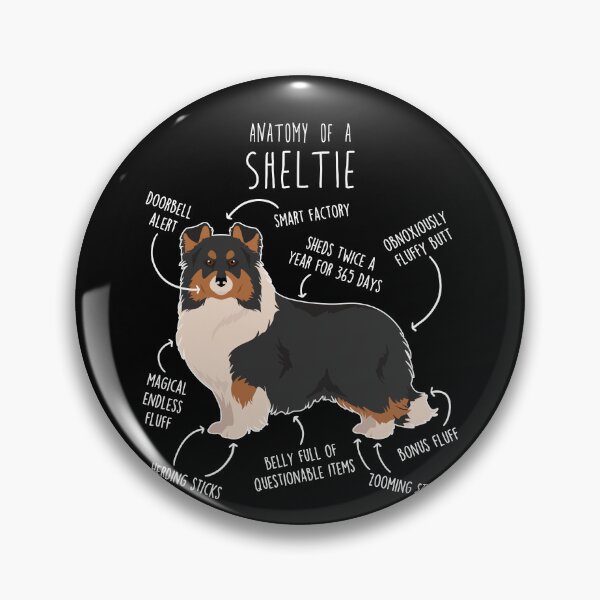 Item preview, Tri Color Sheltie Shetland Sheepdog Anatomy designed and sold by Clara Hollins.
