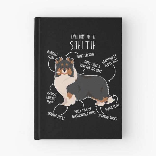Item preview, Tri Color Sheltie Shetland Sheepdog Anatomy designed and sold by Clara Hollins.