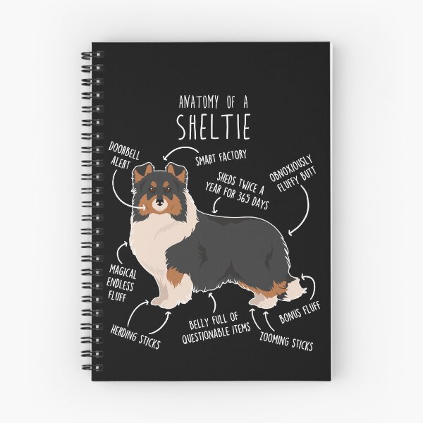 Item preview, Tri Color Sheltie Shetland Sheepdog Anatomy designed and sold by Clara Hollins.