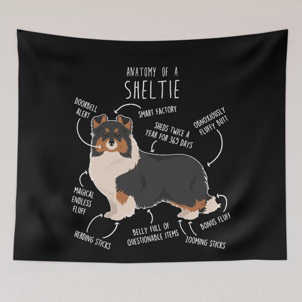 Item preview, Tri Color Sheltie Shetland Sheepdog Anatomy designed and sold by Clara Hollins.