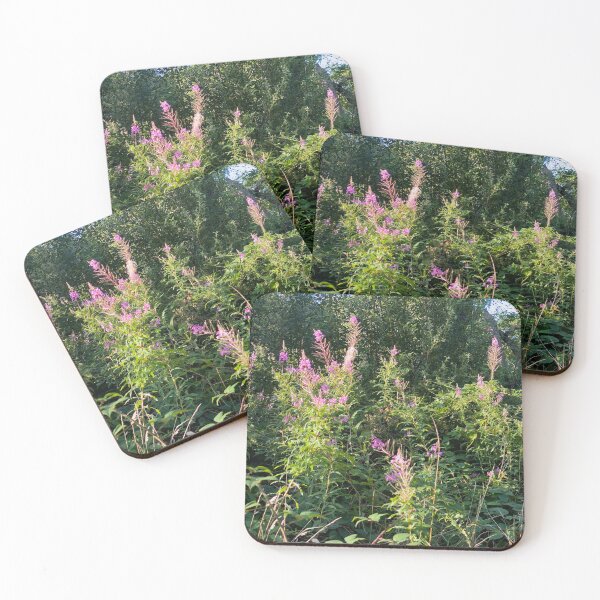 Item preview, Rosebay Willow Herb Panorama designed and sold by Paddyb17.