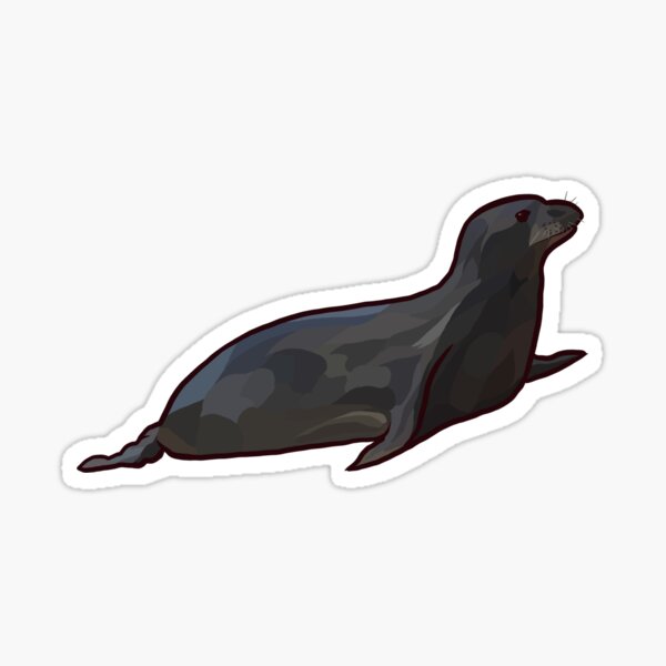 Item preview, Hawaiian Monk Seal (Monachus schauinslandi) designed and sold by ArtbyDLP.