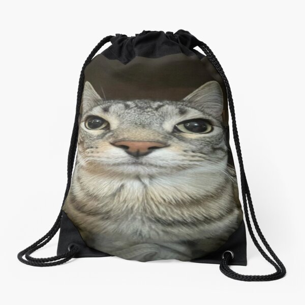 Cat looking directly at you Drawstring Bag