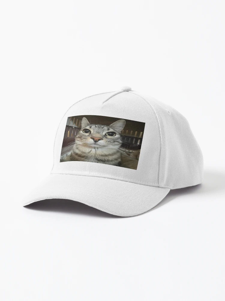 Cat looking directly at you Cap for Sale by Greg Heffley Redbubble