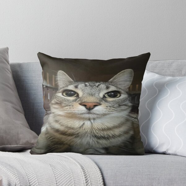 Item preview, Cat looking directly at you designed and sold by Greg Heffley.