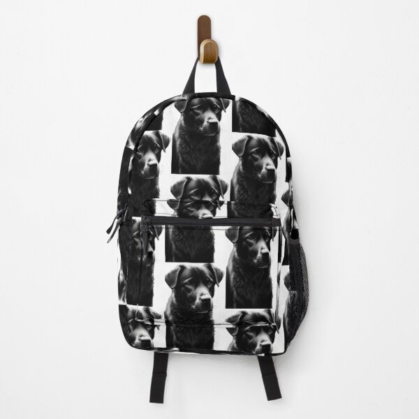 Item preview, Photo of a beautiful black labrador. designed and sold by Animalissima.