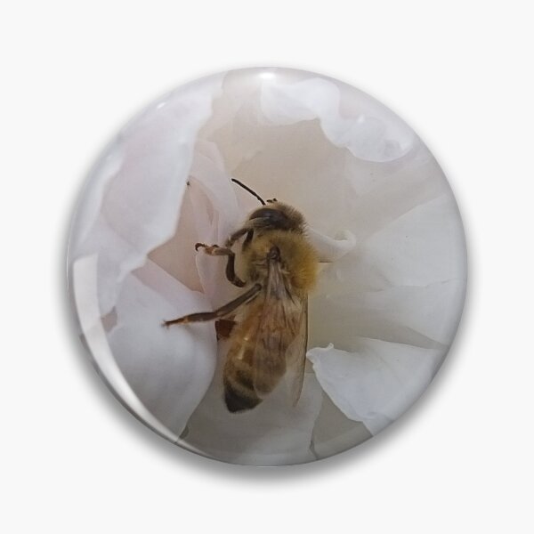Item preview, Honey Bee on White Rose Petals designed and sold by Catherine-NZ.