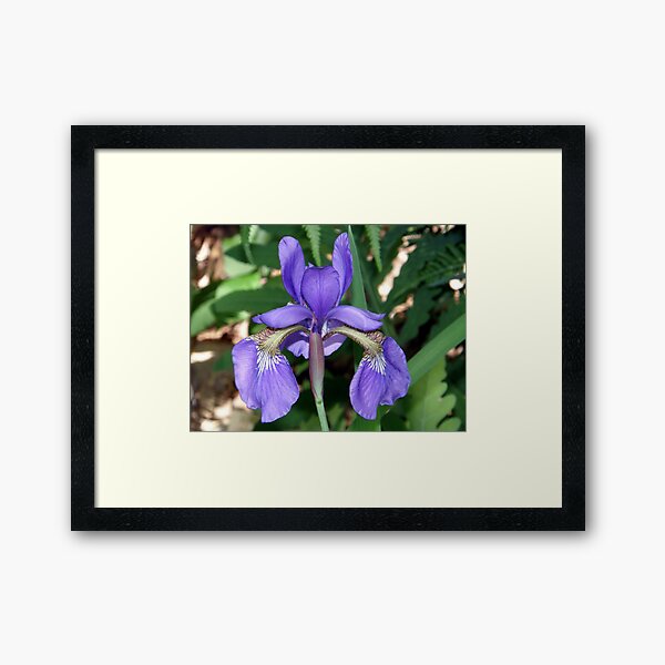 TA-DA!!! Framed Art Print