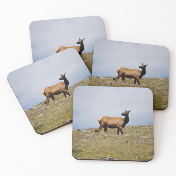 Item preview, Elk Grazing in the Sun  designed and sold by krlongworth.