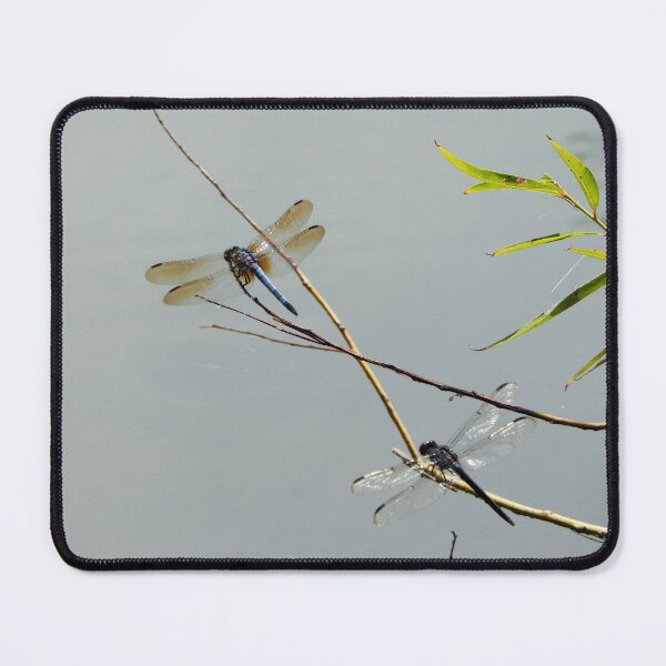 Item preview, Double Dragonflys on Willow Twig designed and sold by gistinker.