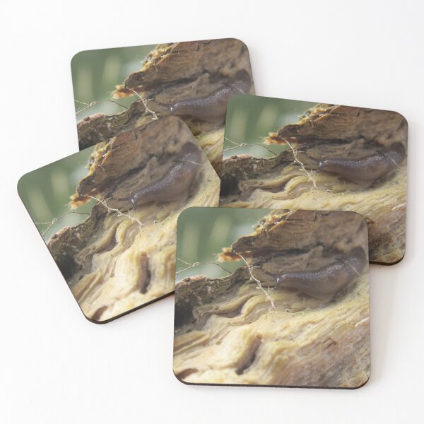 Item preview, Slug on Wet Log designed and sold by EH-Photo.