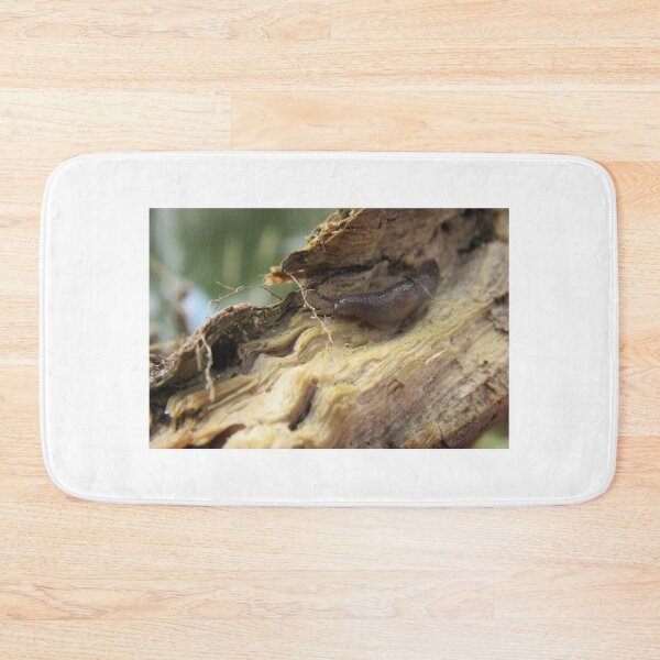 Item preview, Slug on Wet Log designed and sold by EH-Photo.