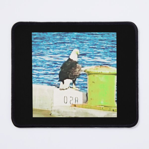 Item preview, Bald Eagle sitting On Pier In Cape Canaveral, FL designed and sold by rayan-hoppzz.