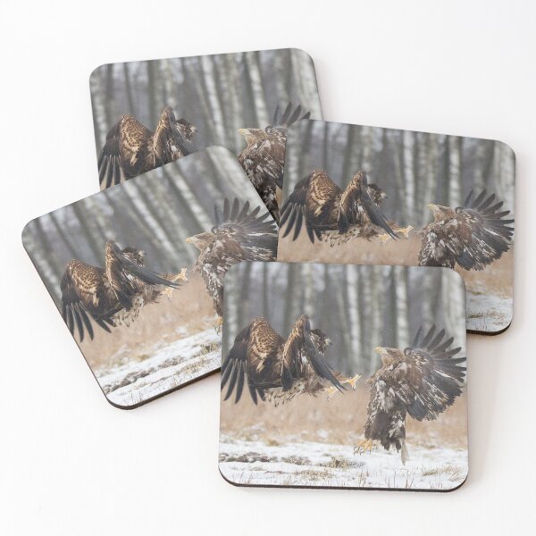 Item preview, White-Tailed Eagle fight designed and sold by Dominika Aniola.