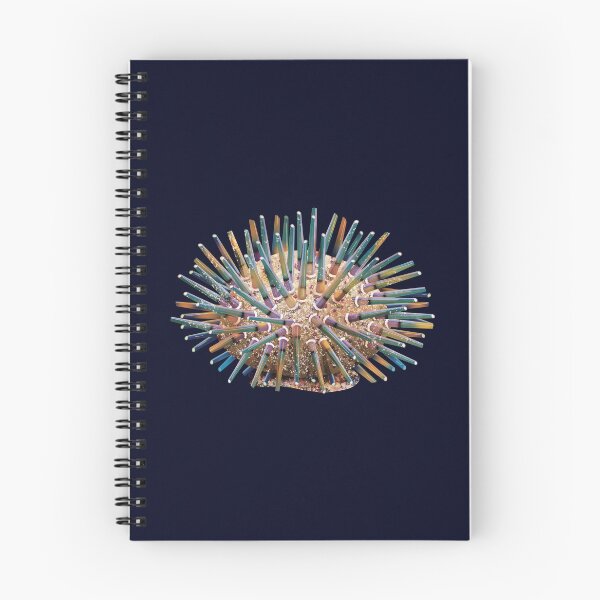 Item preview, Sea Urchin designed and sold by Karin Taylor.