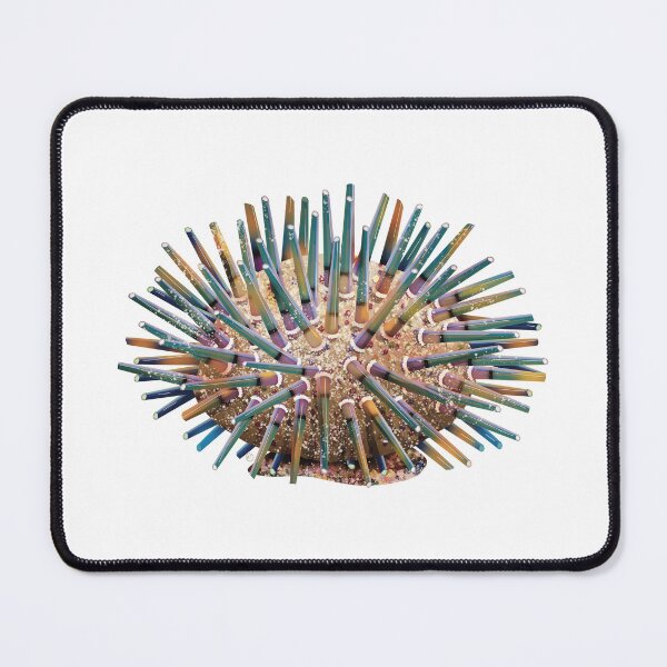 Item preview, Sea Urchin designed and sold by Karin Taylor.