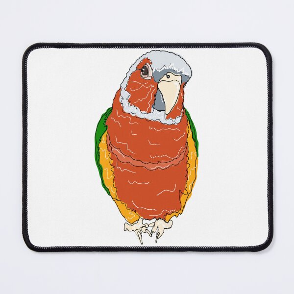 Item preview, Adorable Green Cheeked Conure named Vladimir Poopin designed and sold by ArtistryByColls.