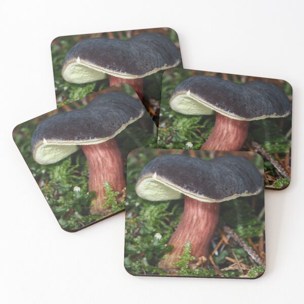 Item preview, Young Zeller's Bolete mushroom designed and sold by SDym Photography.