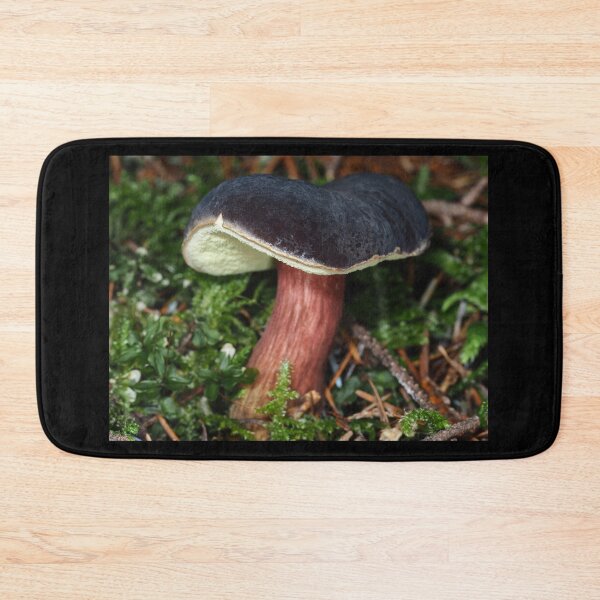 Item preview, Young Zeller's Bolete mushroom designed and sold by SDym Photography.