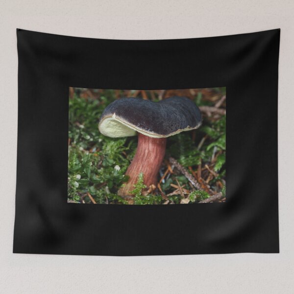 Item preview, Young Zeller's Bolete mushroom designed and sold by SDym Photography.