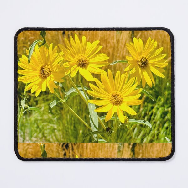 Item preview, SUNFLOWERS GONE WILD ;0)  designed and sold by NatureSoReal.