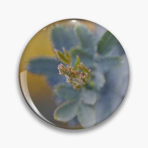 Item preview, Acacia Tree Leaves  designed and sold by Joy Watson - Natural Light Photography .