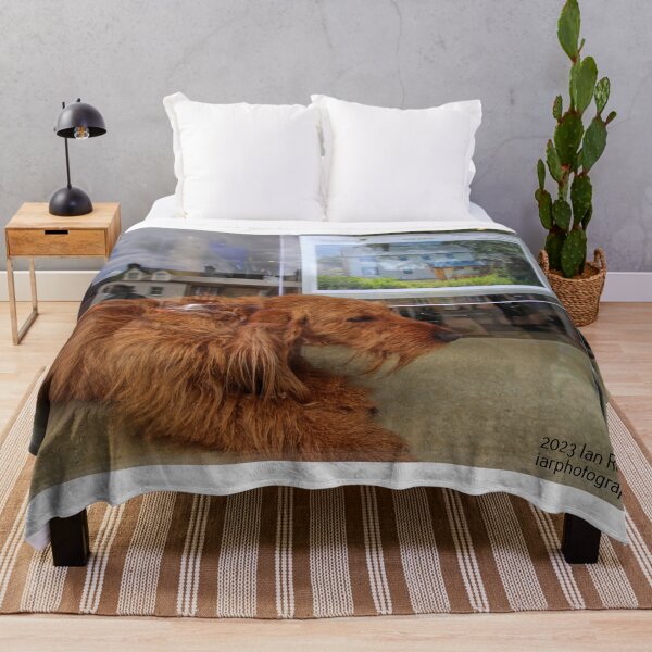 Item preview, How much is that doggie in the window?? designed and sold by Ian Ramsay.