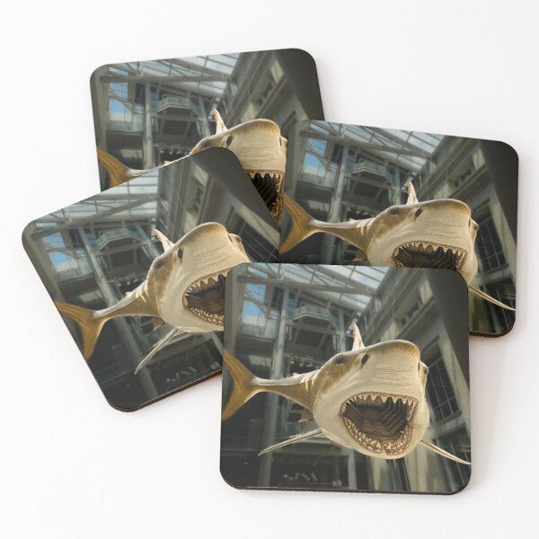 Item preview, Megalodon at Museum of Natural History designed and sold by rose-waterhause.