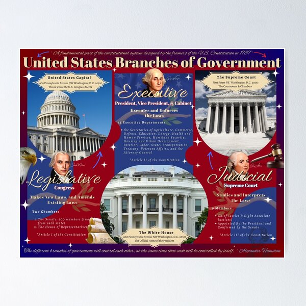Item preview, Branches of Government: Discover the Essence of Democracy designed and sold by Examine the Past.