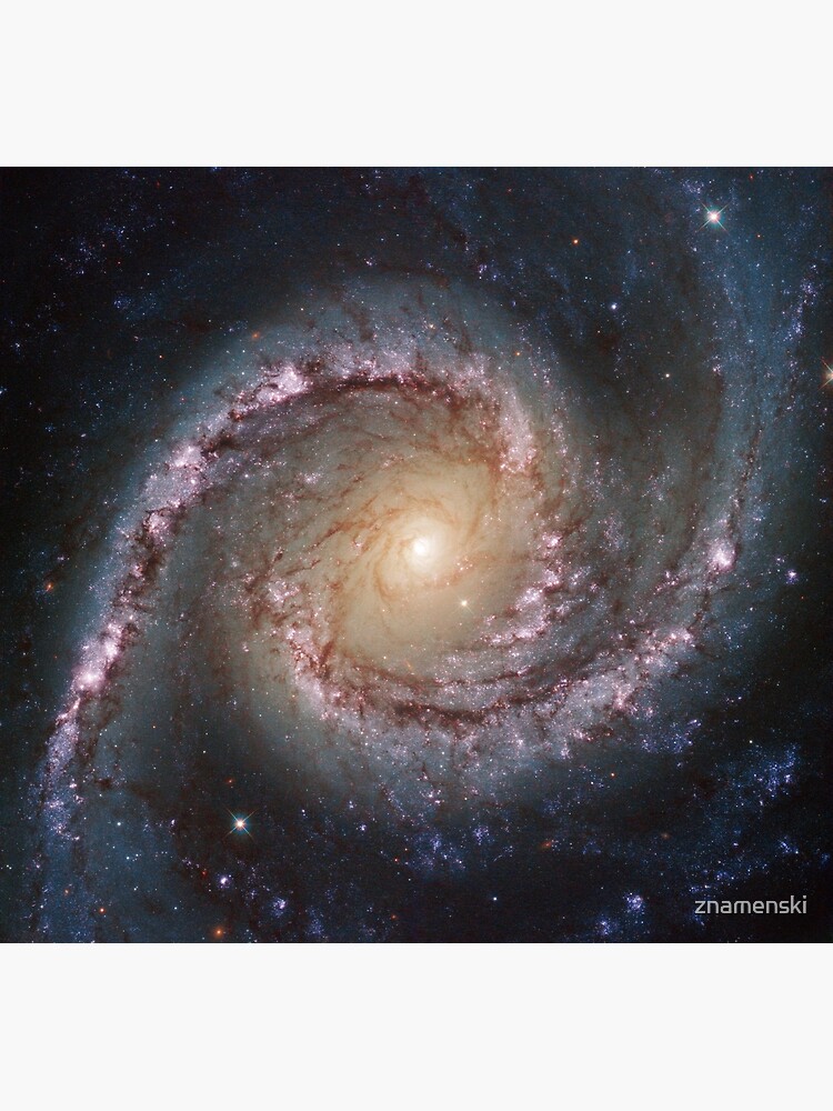 #Grand #swirls, swirls, #hubble, ngc 1566, beautiful, #galaxy, million light years, constellation by znamenski
