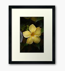 Happiness Framed Print