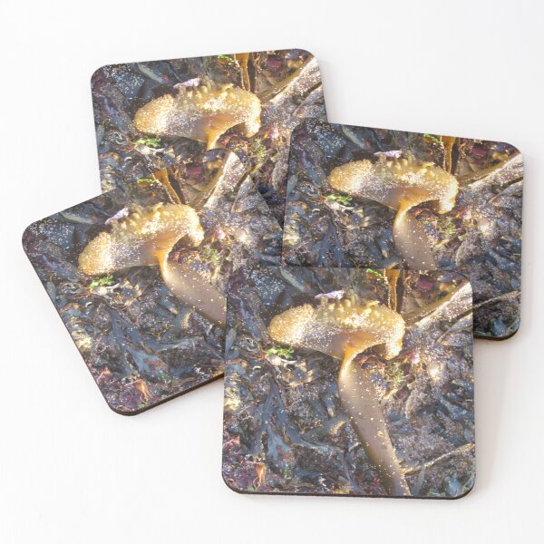Item preview, Golden Edged Seaweed  designed and sold by lezvee.