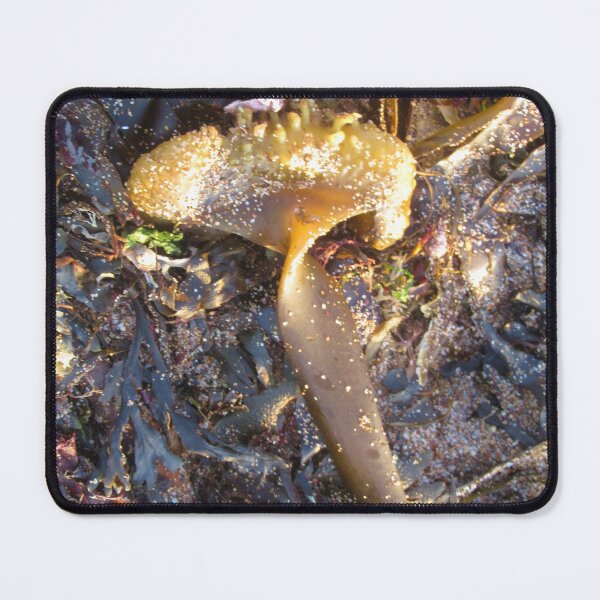 Item preview, Golden Edged Seaweed  designed and sold by lezvee.