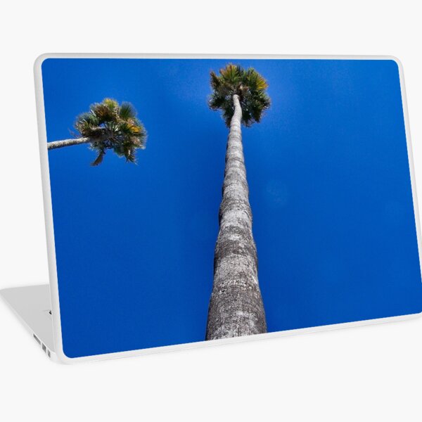 Aperçu de l'œuvre Palms curieux créée et vendue par MilesArt.