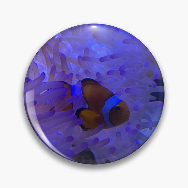 Item preview, Clownfish designed and sold by Stacey Maree Steele.