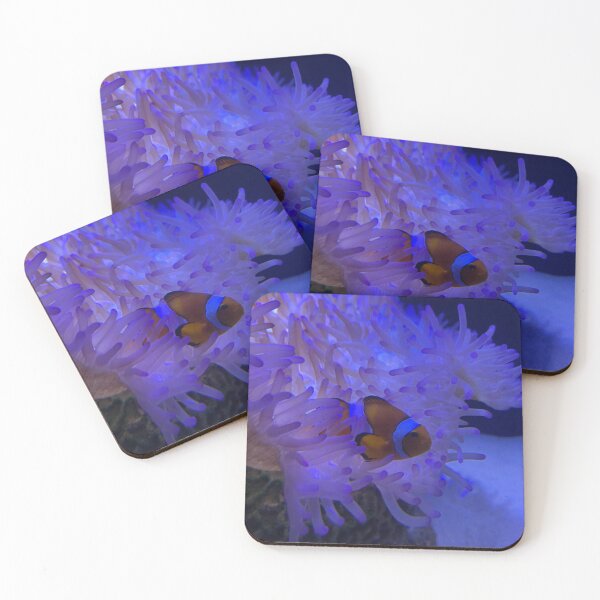 Item preview, Clownfish designed and sold by Stacey Maree Steele.