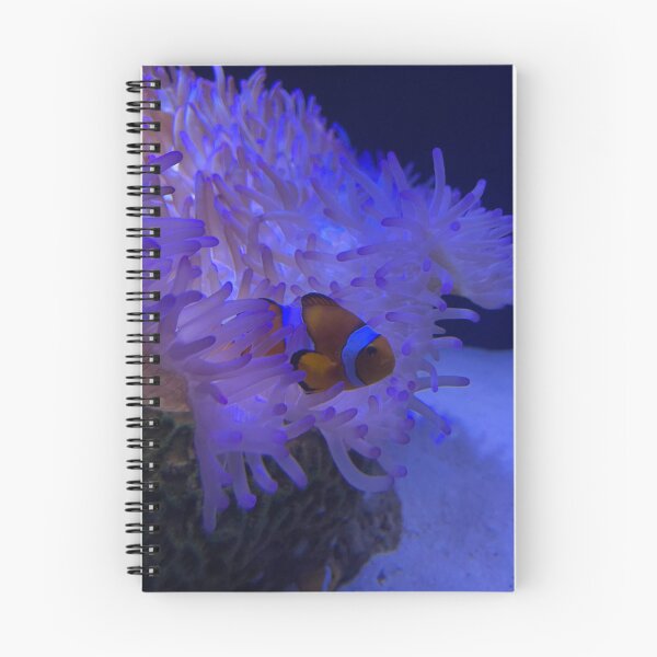 Item preview, Clownfish designed and sold by Stacey Maree Steele.