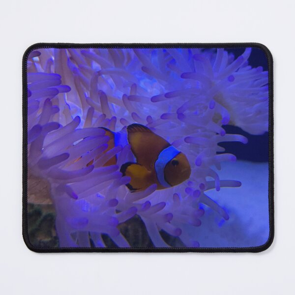 Item preview, Clownfish designed and sold by Stacey Maree Steele.