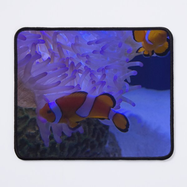 Item preview, Two Clownfish designed and sold by Stacey Maree Steele.