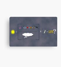Equation of Life Poster Canvas Print