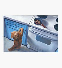 Cat Begging For Bacon Painting Photographic Print